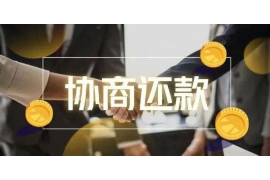 陵水陵水的要账公司在催收过程中的策略和技巧有哪些？